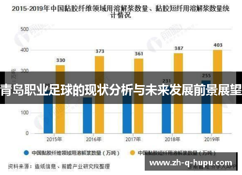 青岛职业足球的现状分析与未来发展前景展望
