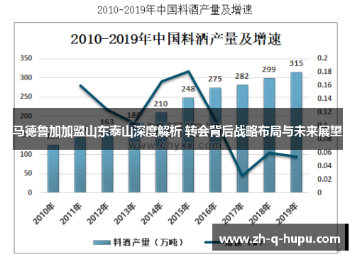 马德鲁加加盟山东泰山深度解析 转会背后战略布局与未来展望